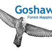 Goshawk